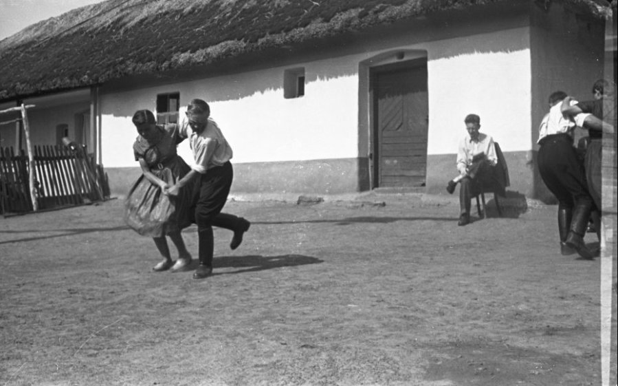 Sima hapsz. Bundásbokor, 1956.