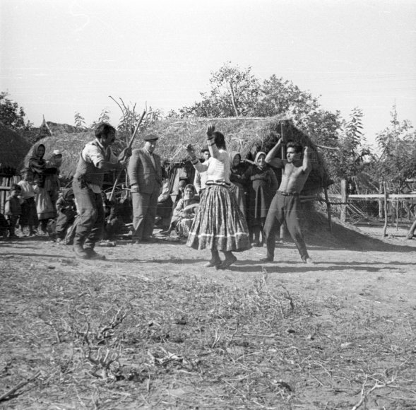 Hármas botoló. Nyírvasvári, 1956.